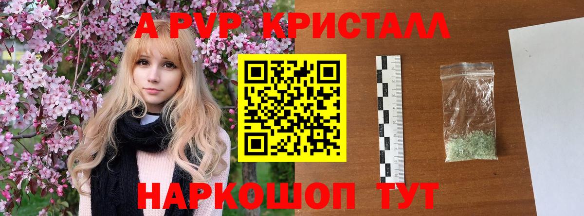 А ПВП СК Кировск