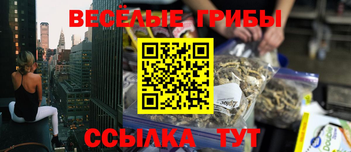 Псилоцибиновые грибы GOLDEN TEACHER  хочу наркоту  Кировск  Вход с VPN  Псилоцибиновые грибы ЛСД 